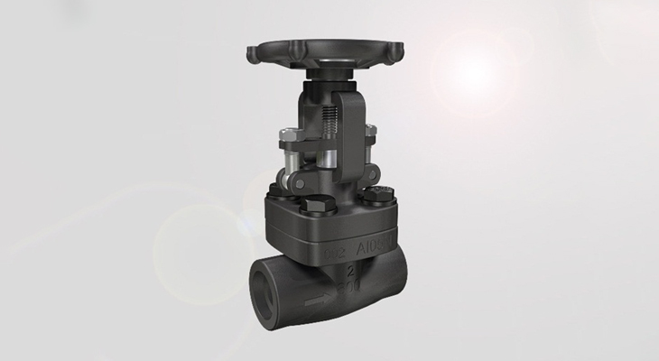 API-602-Forged-Valve-1-1.jpg